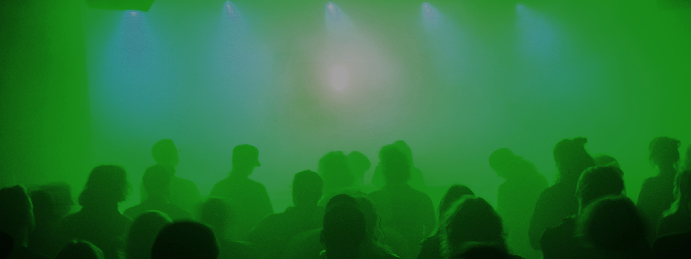 Grun Wasser
          masked in green fog on stage at Sleeping Village in Chicago, IL